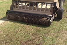 Seeding the field